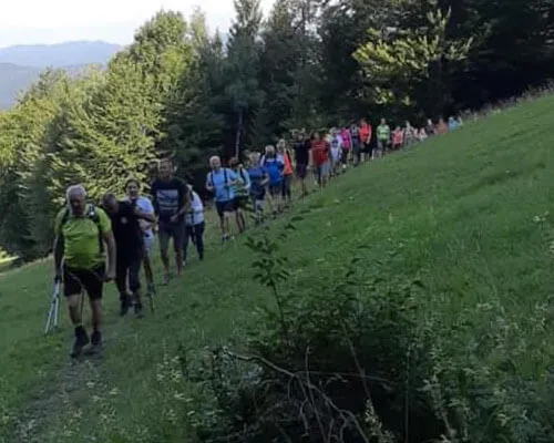 Dnevi kočevarske kulture