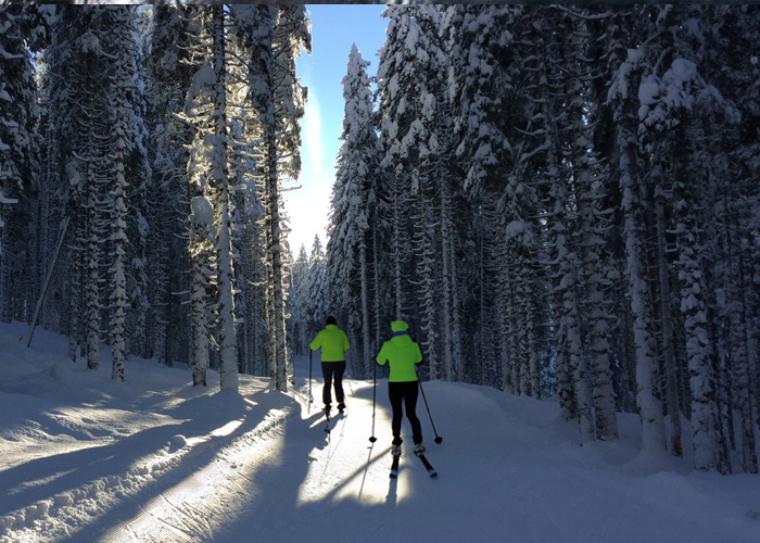 Urejene proge za tek na smučeh - RTC Gače